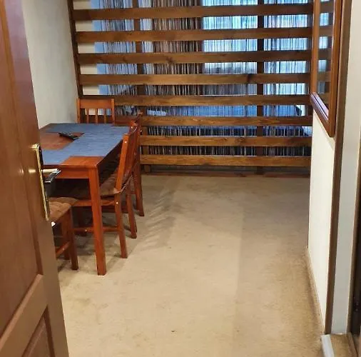 Simonen Near The Gondola